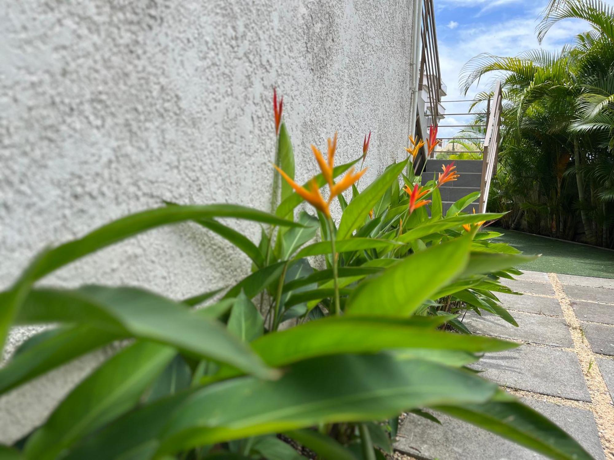 Seasons Break Apartment Pereybere Pereybere Beach Bagian luar foto